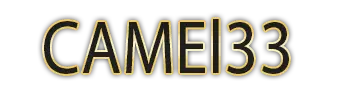 Logo CAMEl33